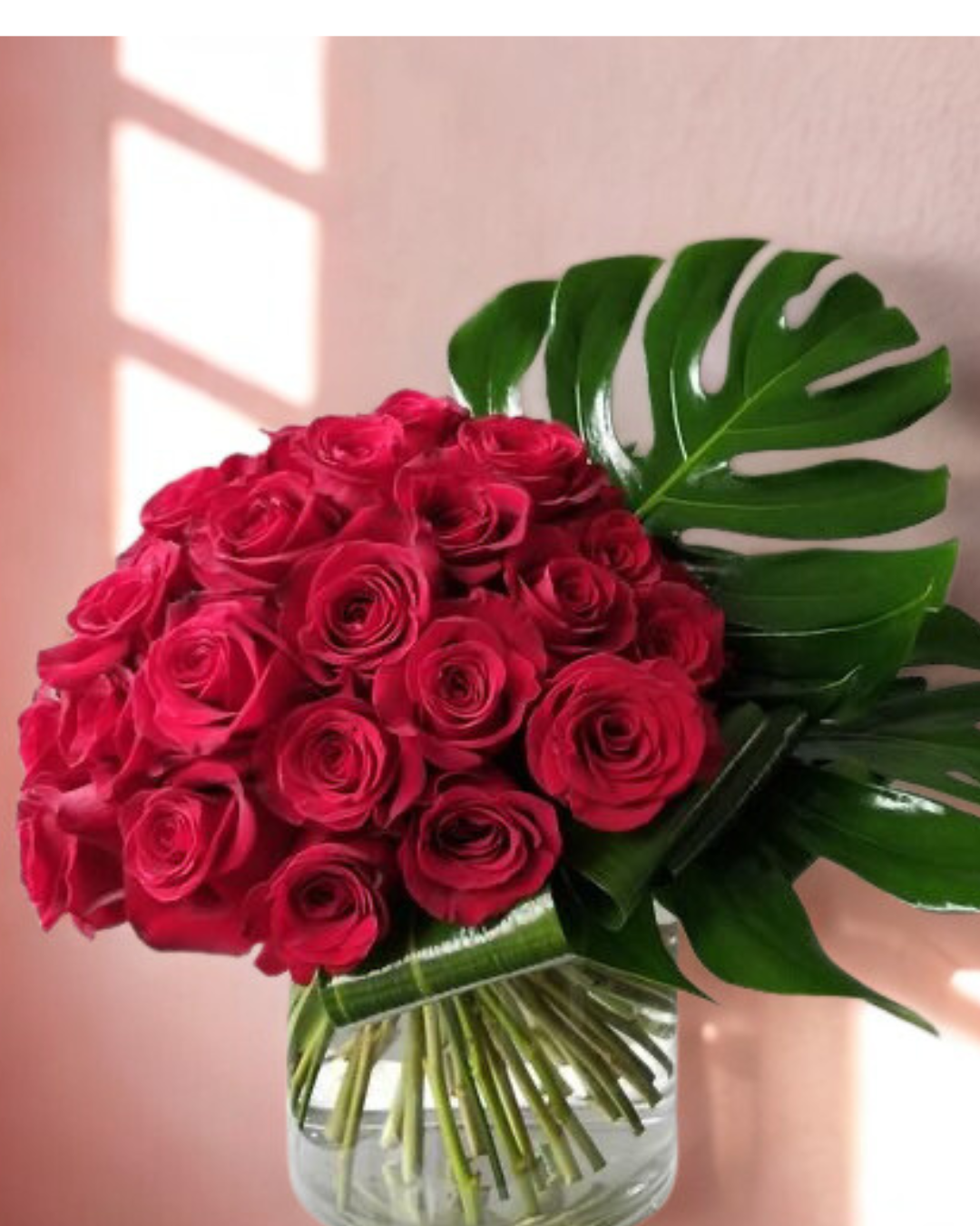 Tropical Rose