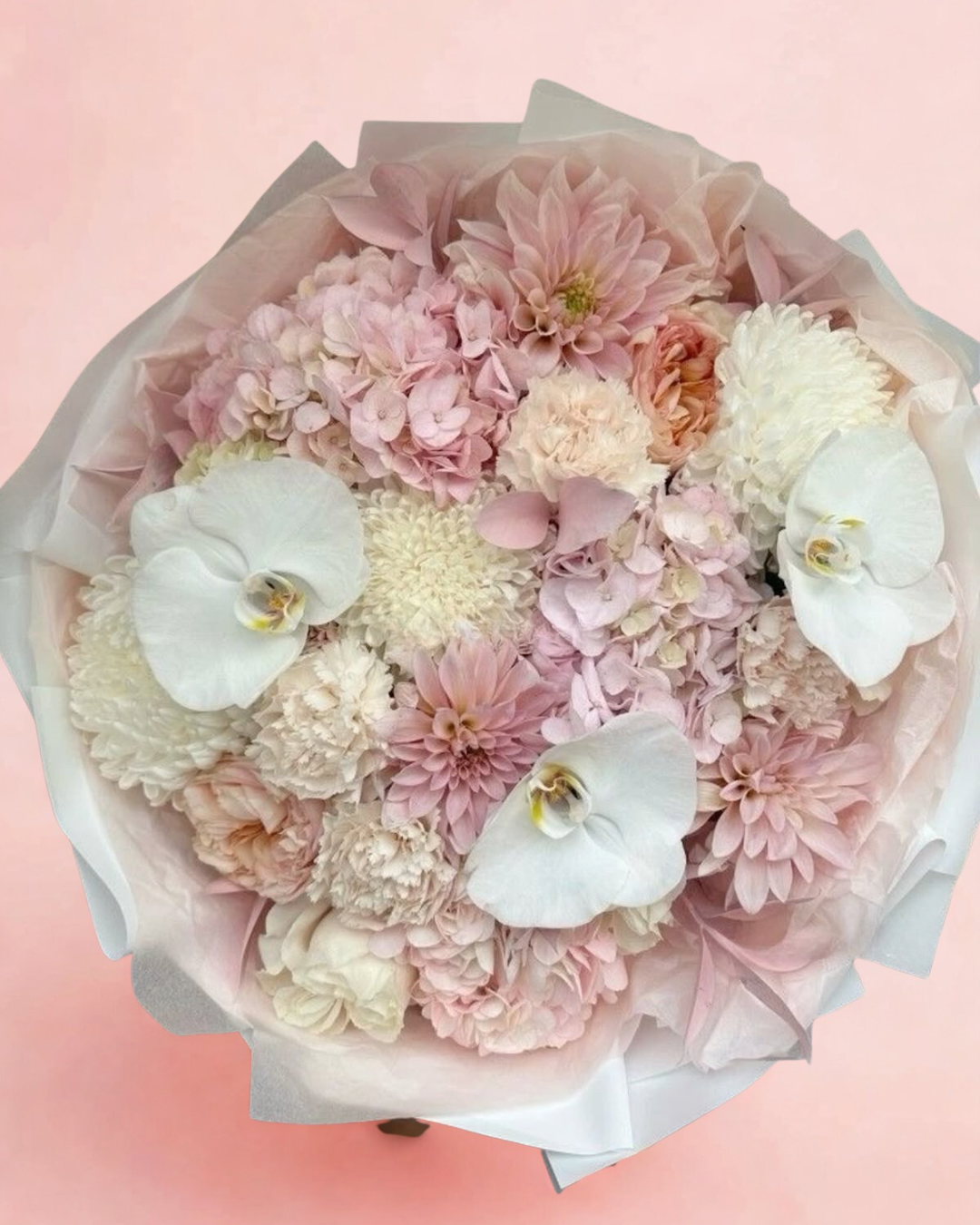 Orchid Pastels