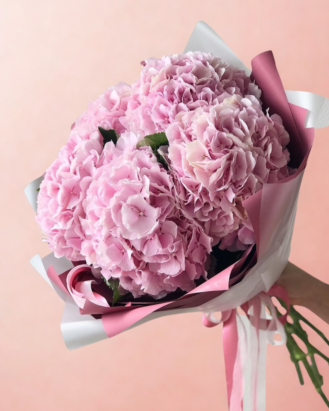 Hydrangea bouquet