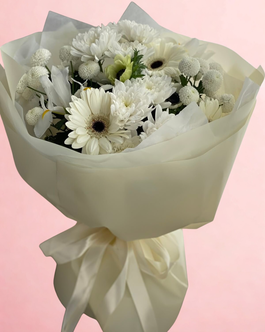 White Bundle