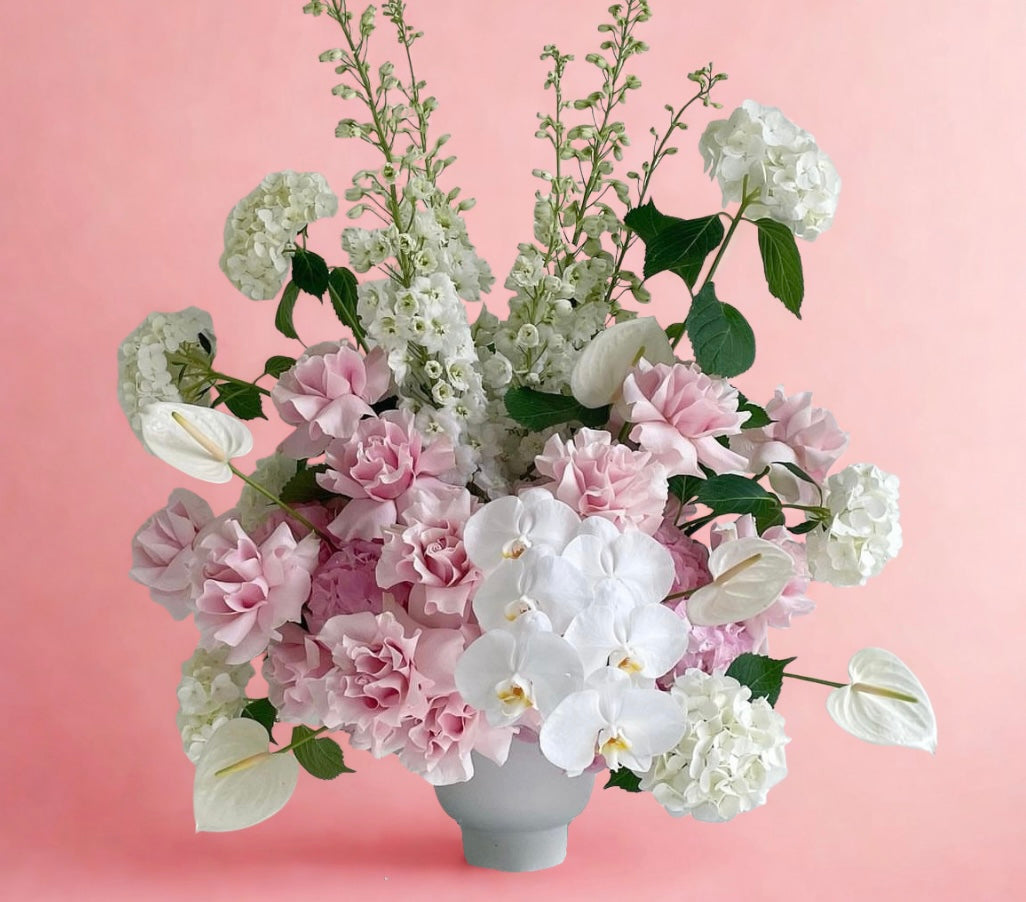 White and Pink Orchid