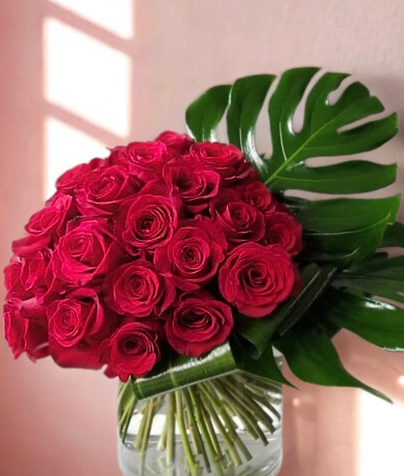 Tropical Red Rose in a Vase