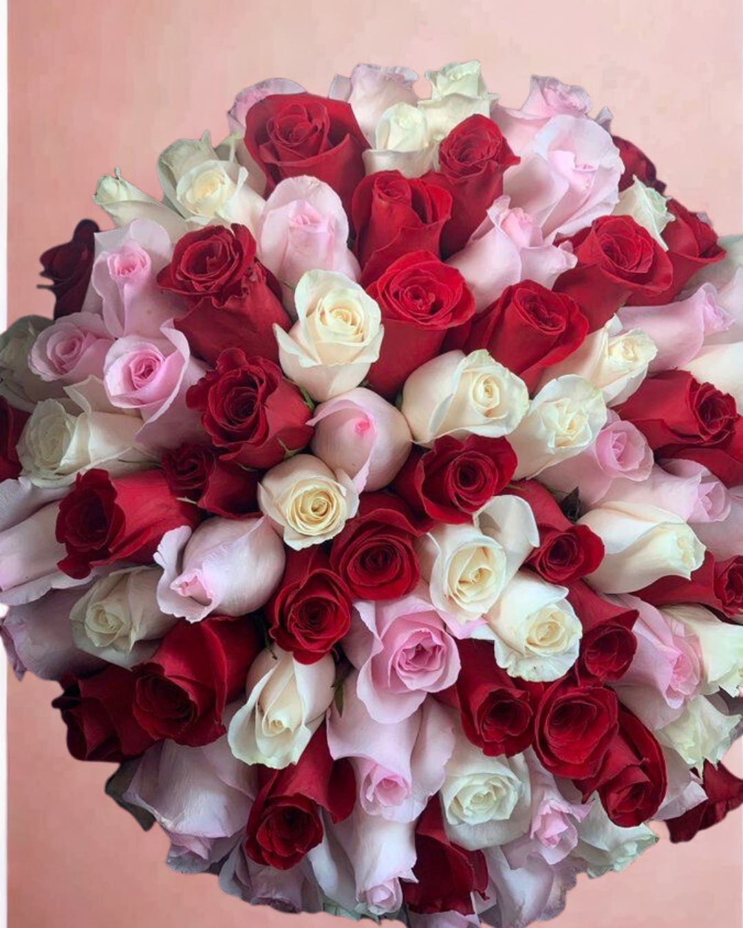 Multi Color Roses