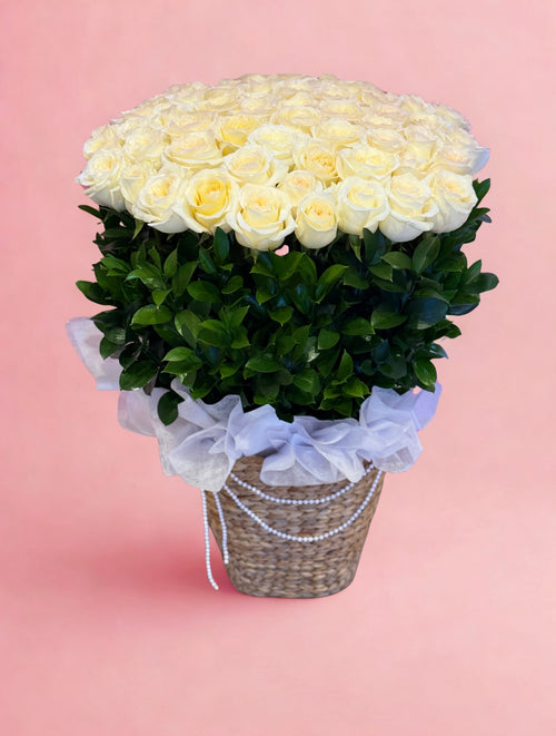 50 White Rose Basket