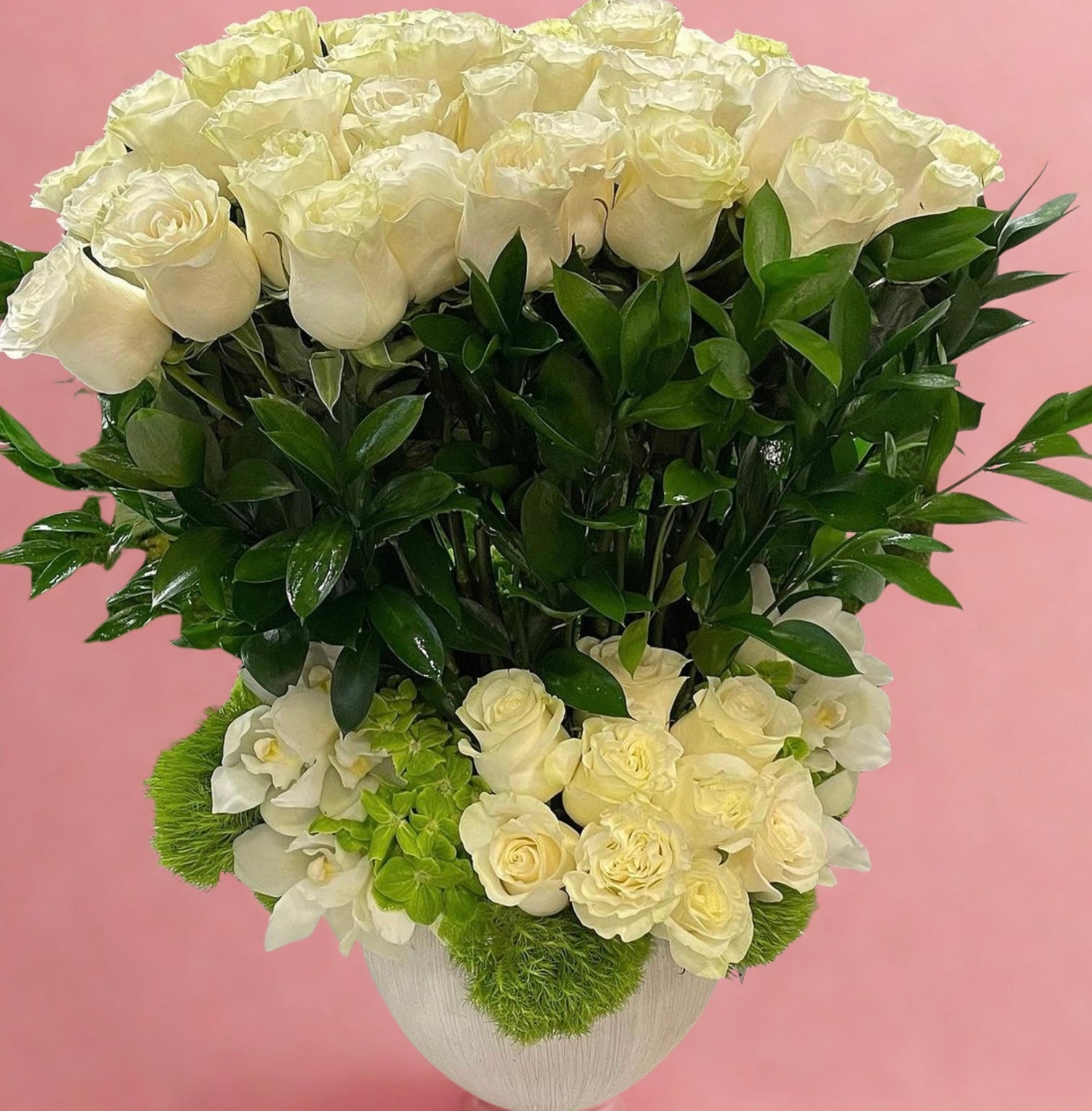 White roses